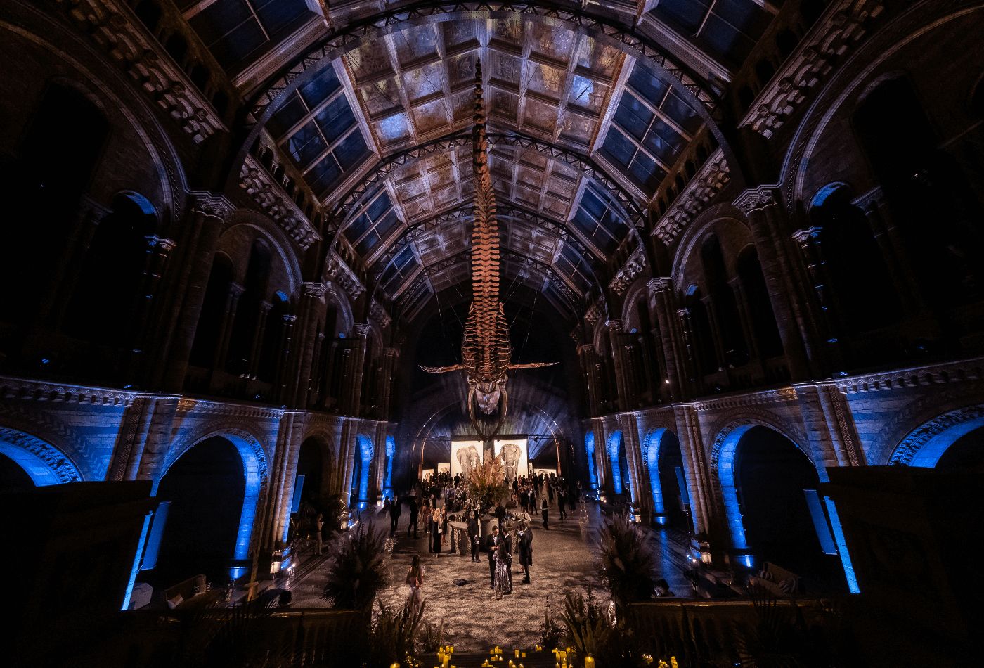 Inside the natural history museum at night.jpg