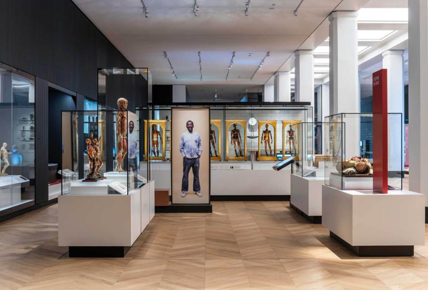 Medicine and bodies gallery