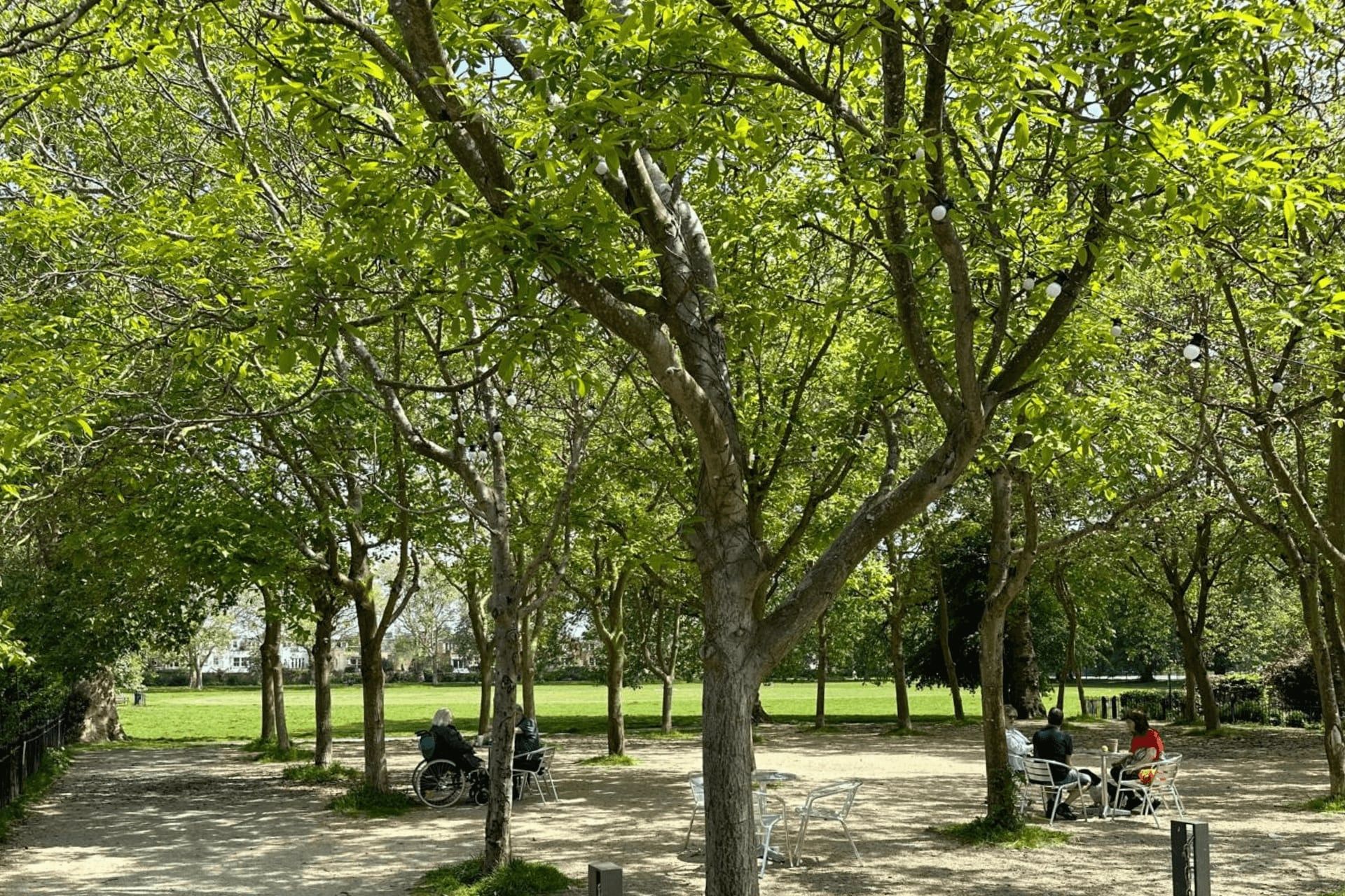 Sands End South Park Grounds.jpg